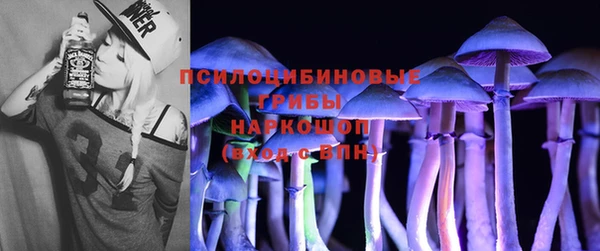 мдпв Навашино