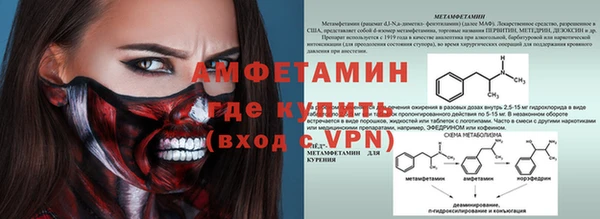 ГАЛЛЮЦИНОГЕННЫЕ ГРИБЫ Наволоки