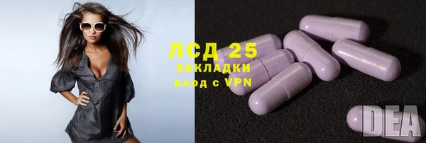 стаф Михайлов