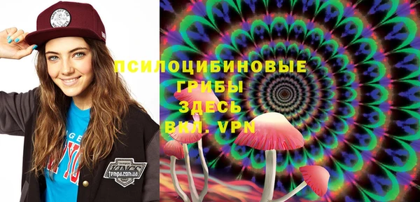 мдпв Навашино