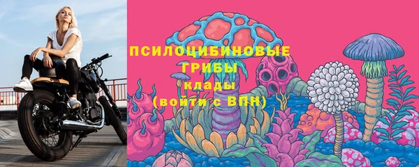 стаф Михайлов