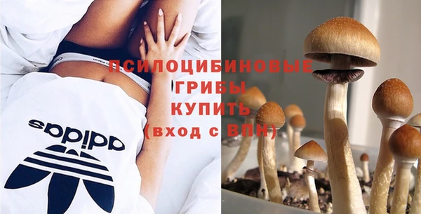 мдпв Навашино