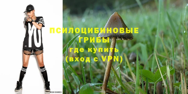ГАЛЛЮЦИНОГЕННЫЕ ГРИБЫ Наволоки